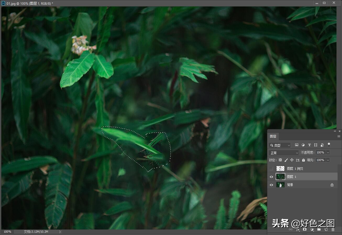 使用PS軟件場景模糊制作淺景深 突出主體的好方法