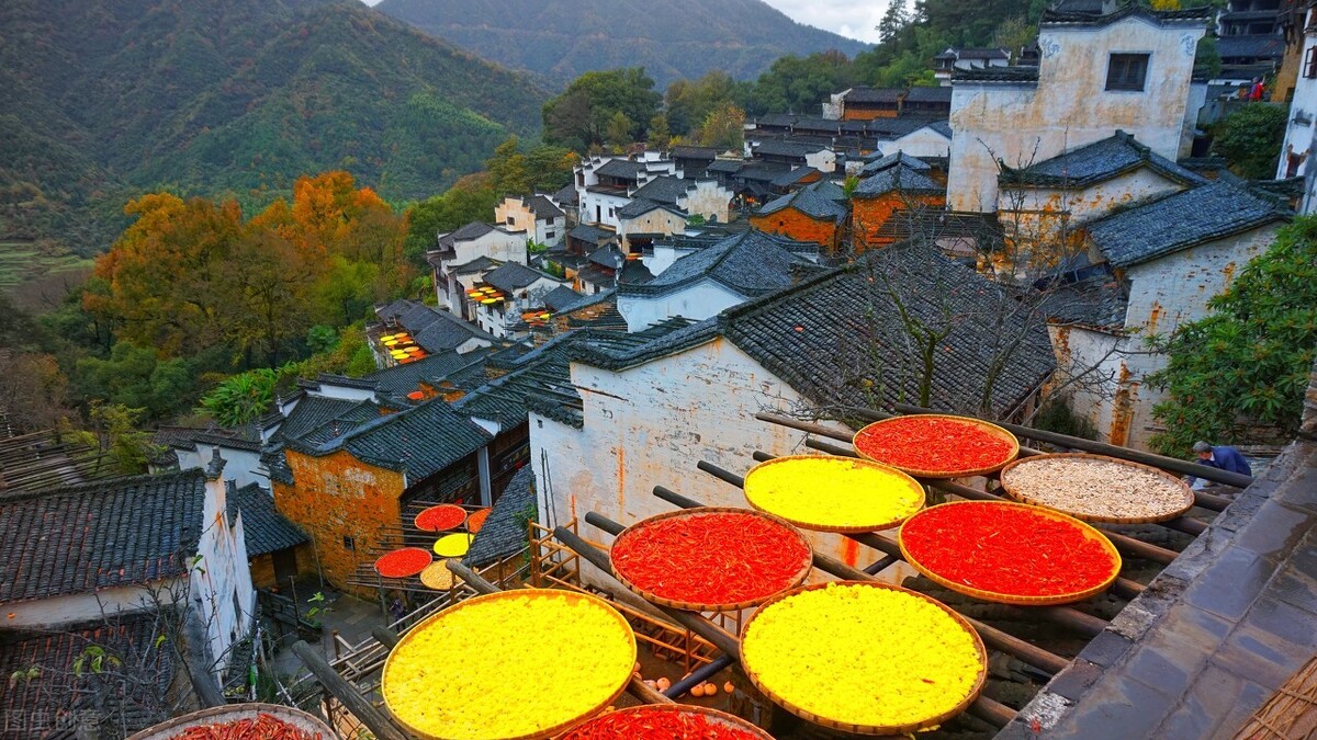 2020年賠錢的生意，餐飲不是第一名，2021干啥能賺錢？