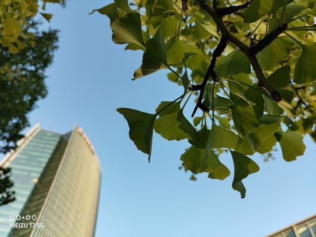打消游戲發燒友顧慮 當前魅族最強旗艦體驗如何