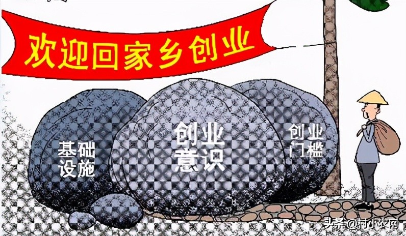 2021年在農村創業致富，養殖什么最賺錢？這6大項目值得推薦