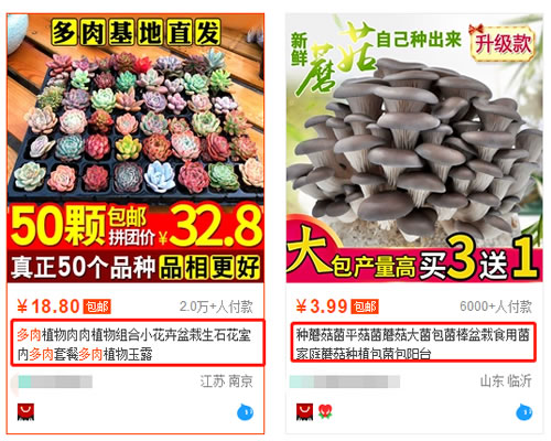 閑魚賺錢