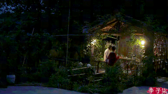 看了100多個李子柒的視頻，我總結了7個拍視頻的技巧