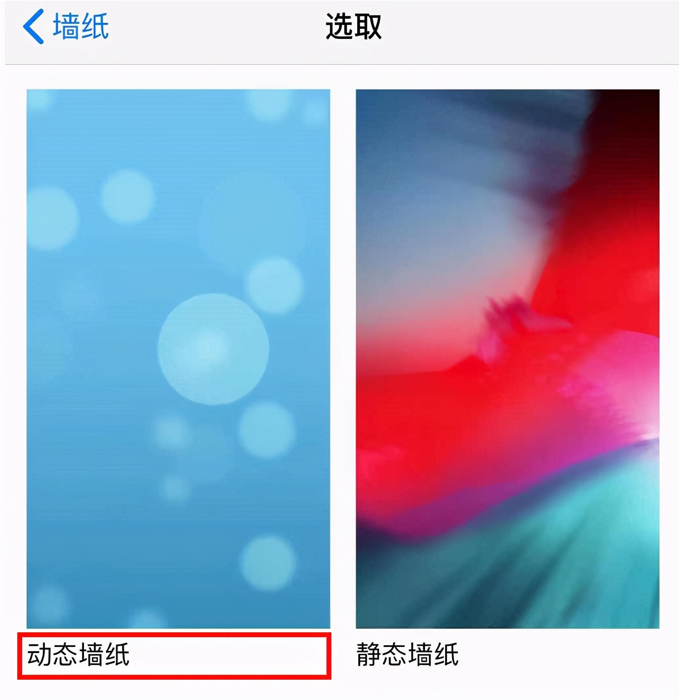 四個步驟，給蘋果手機設置動態壁紙，讓你的壁紙動起來