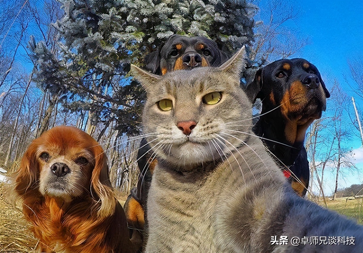 微信視頻聊天怎么沒有美顏？以下方法可以幫到你