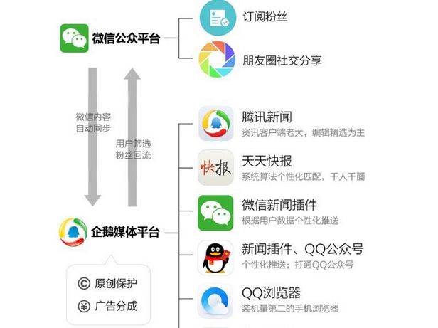企鵝號多久能有收益