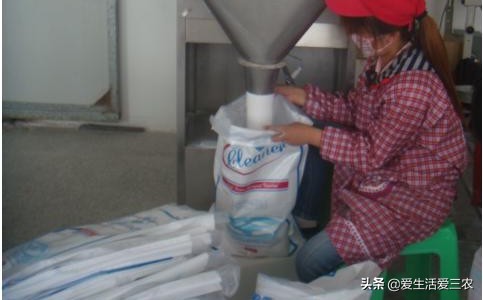 五個農村前景不錯的小型加工廠，投資小利潤高，建議收藏