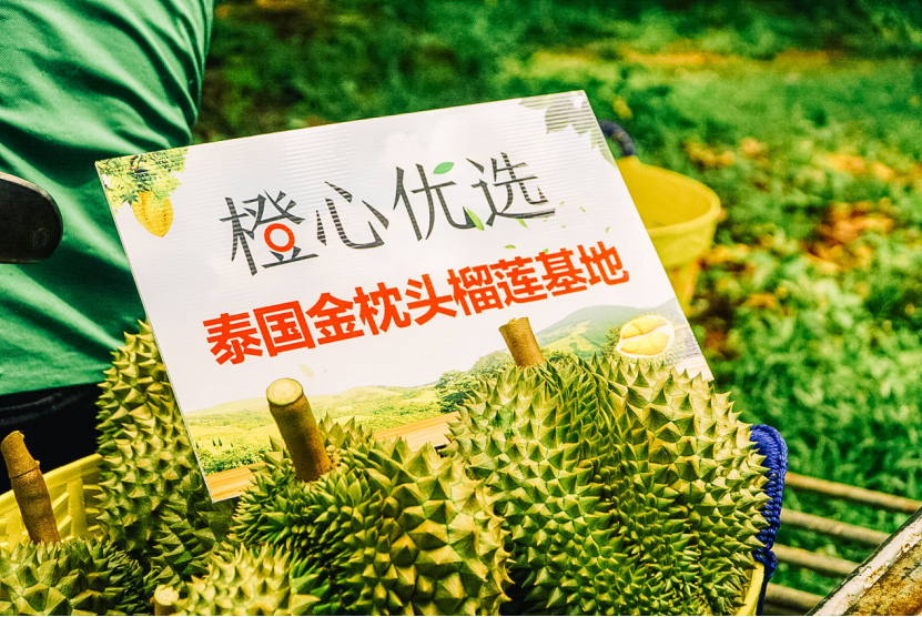 攜手泰國政府 滴滴橙心優選打造首個本土榴蓮節