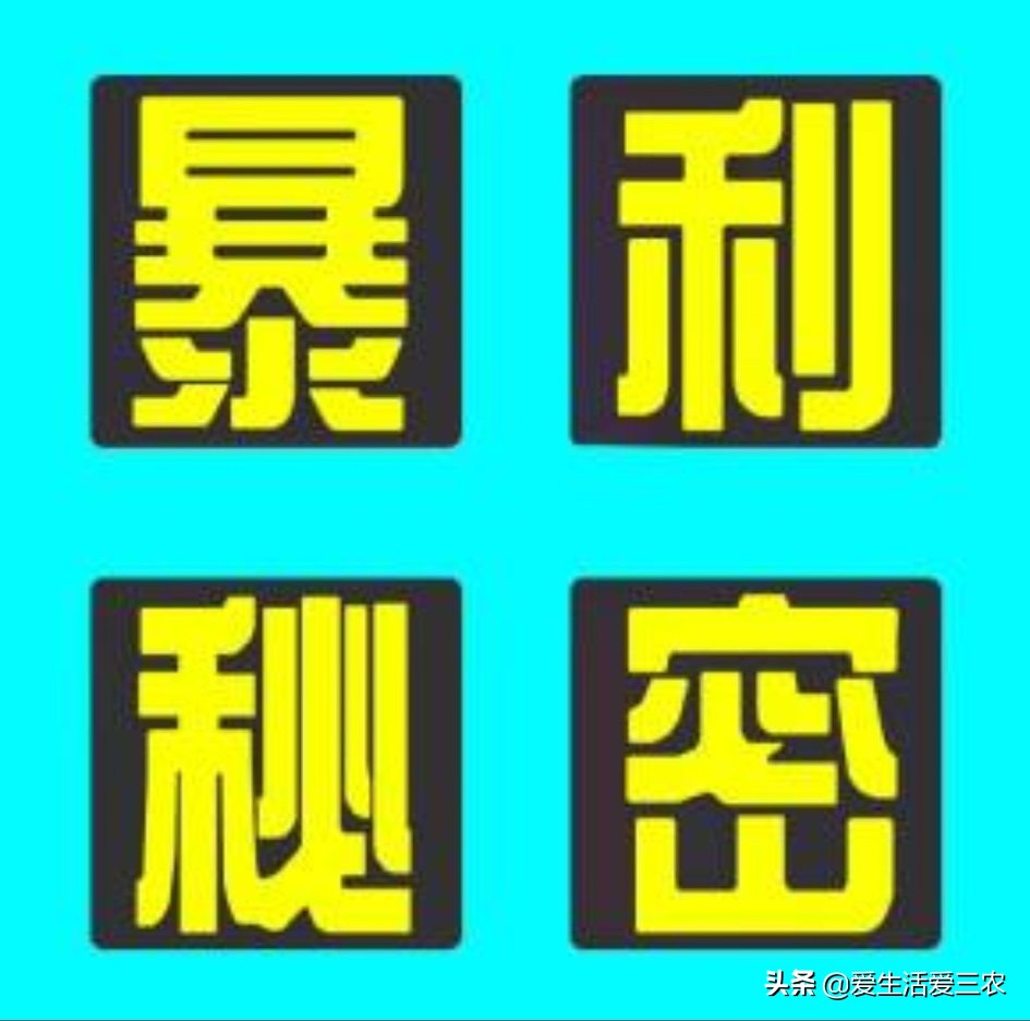 五個農村前景不錯的小型加工廠，投資小利潤高，建議收藏