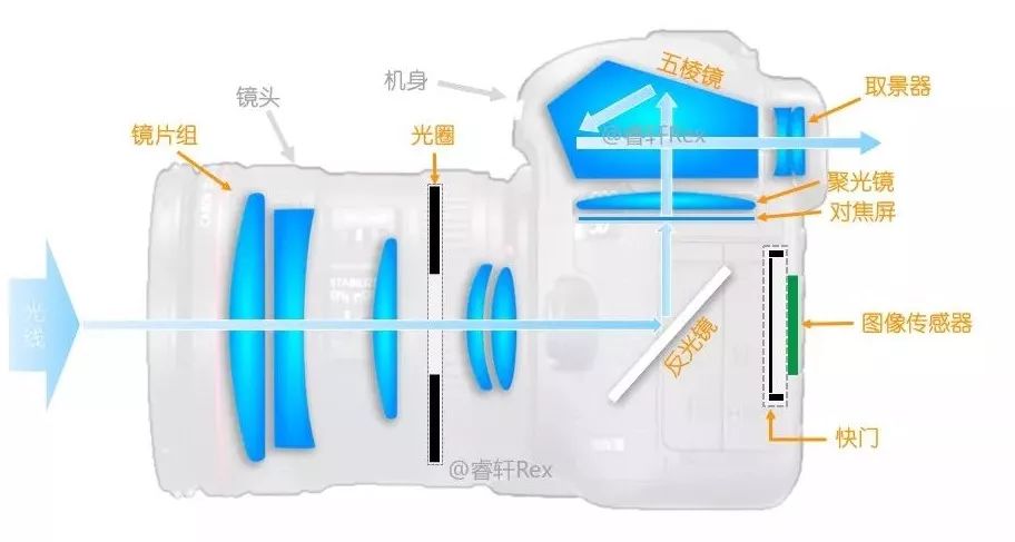 單反單反，到底什么是單反？