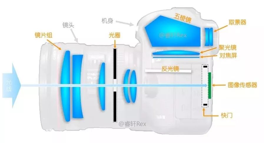 單反單反，到底什么是單反？