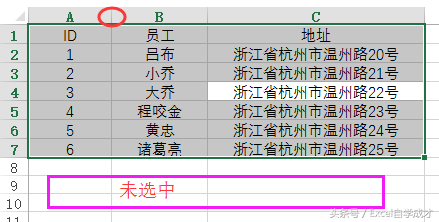 Excel快速調整行高或列寬技巧！