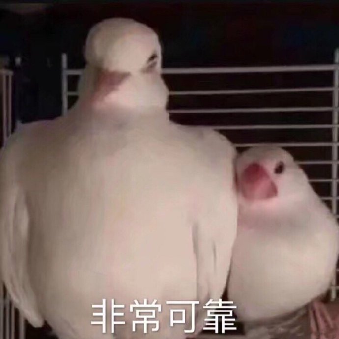 都說好的抖音小店無貨源，先別盲目決定去做！看你符合這三點嗎？