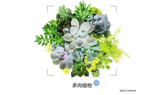 父母選購有技巧 5款市售熱銷兒童智能手表誰更出色？