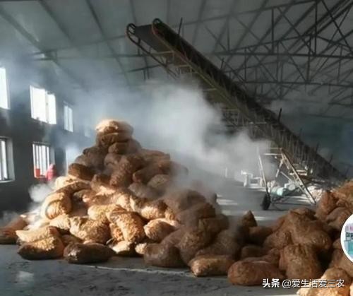 五個農村前景不錯的小型加工廠，投資小利潤高，建議收藏