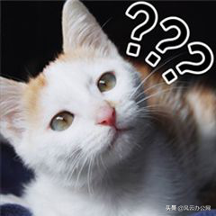 在手機上圖片如何修改尺寸？學會這招，輕松修改圖片尺寸