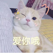 在手機上圖片如何修改尺寸？學會這招，輕松修改圖片尺寸