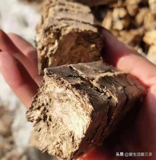 五個農村前景不錯的小型加工廠，投資小利潤高，建議收藏