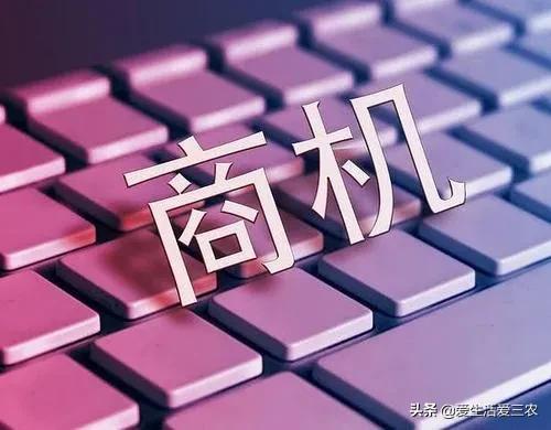 五個農村前景不錯的小型加工廠，投資小利潤高，建議收藏