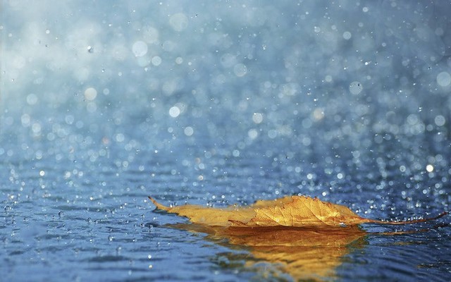 北京迎秋雨，飛利浦空氣凈化器緩解室內壓力