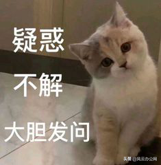 在手機上圖片如何修改尺寸？學會這招，輕松修改圖片尺寸