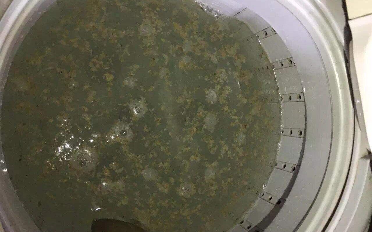 洗衣機3個月不清潔，衣服越洗越臟，一碗水徹底清潔洗衣機