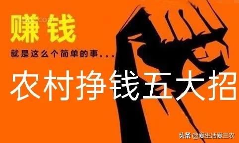 農村掙錢門路多，這五個低成本項目能快速致富！