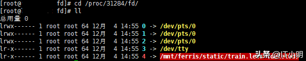 Linux 誤刪文件恢復命令及方法