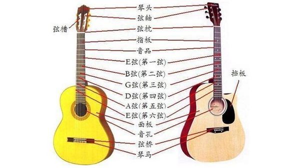 吉他調音 用調音器 每根弦的字母是什么？