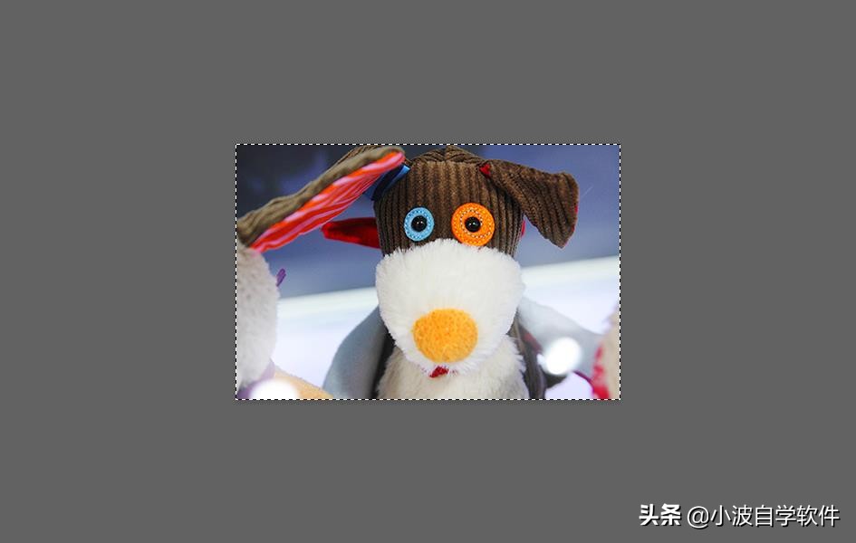 PS選區的5個操作方法，很簡單，但是很多熟手都不完全知道