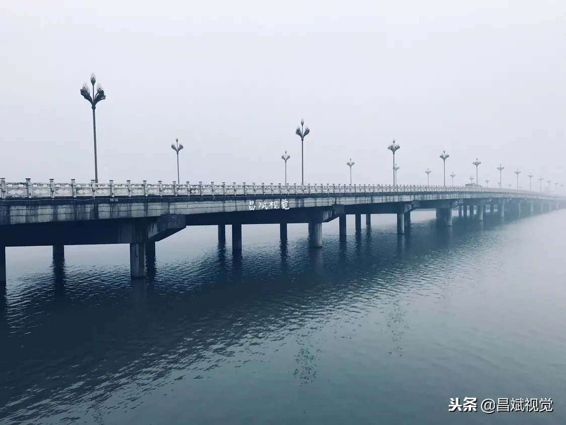 手機和相機拍照，圖質差別有多大？同時拍攝，比較了才知道！