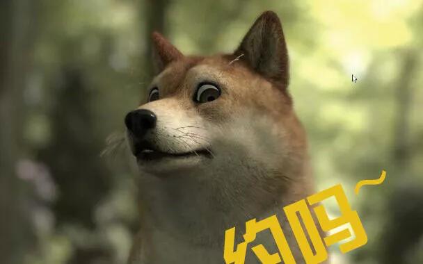 好消息！好消息！狗狗幣再次暴漲