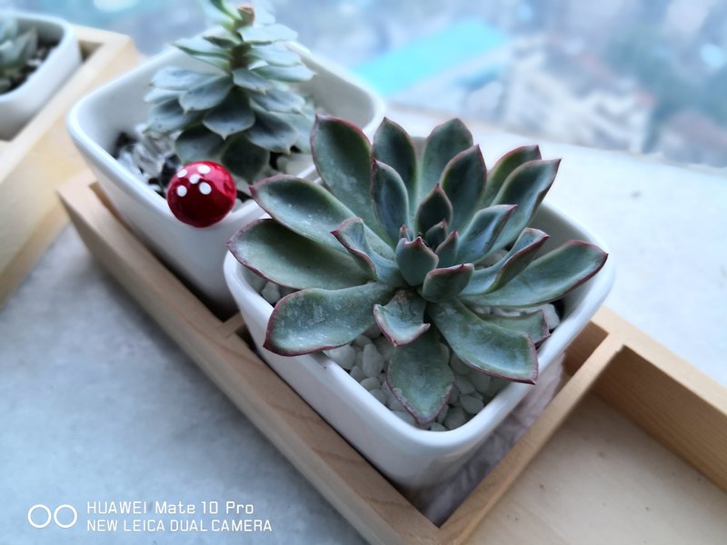 它就是智能的代名詞！華為Mate 10 Pro 深度體驗