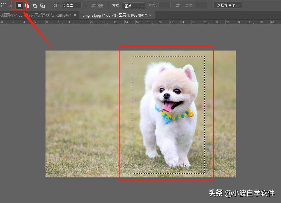 PS選區的5個操作方法，很簡單，但是很多熟手都不完全知道