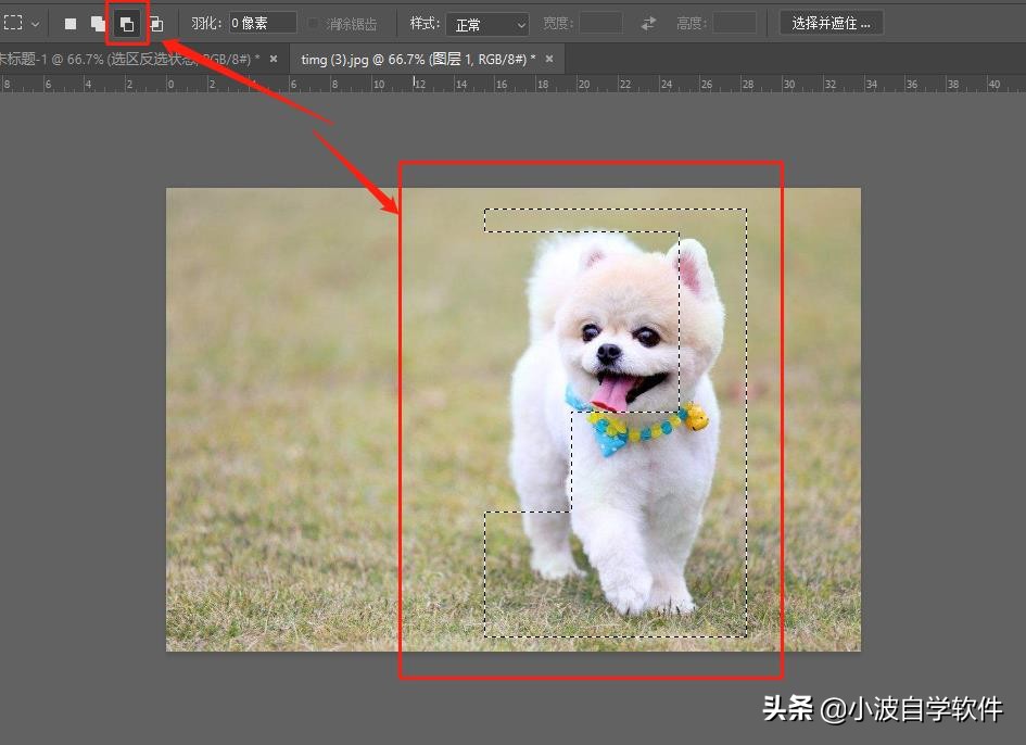 PS選區的5個操作方法，很簡單，但是很多熟手都不完全知道