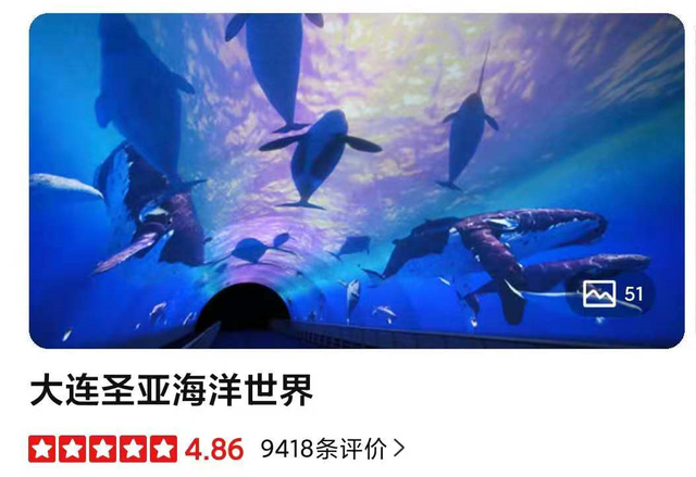 52只企鵝收入2000萬！養鵝真能拯救上市公司嗎？大連圣亞為保殼拼了！上萬股民狂歡，監管火速問詢