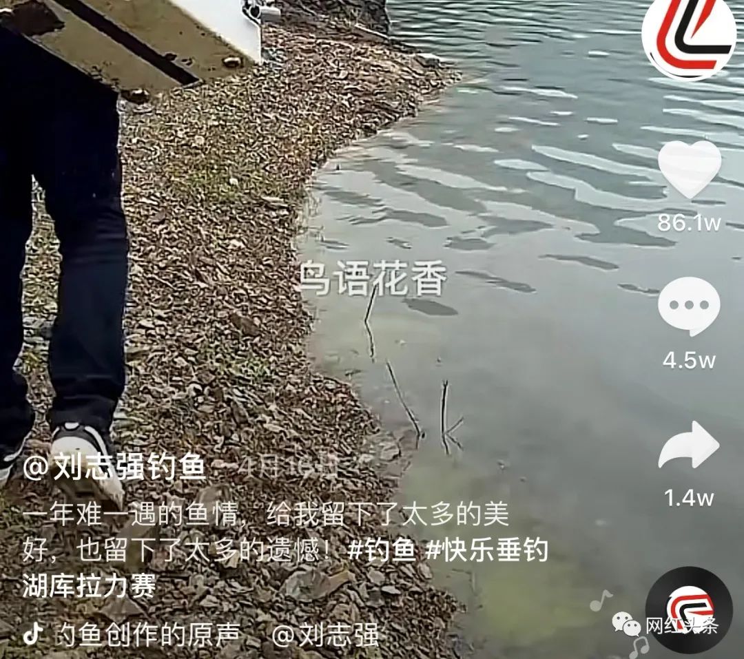 釣魚也能火！兩年全網粉絲過千萬，釣魚界頭部網紅劉志強的漲粉秘籍