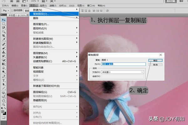 Photoshop入門到精通：圖層的基本操作，復制圖層