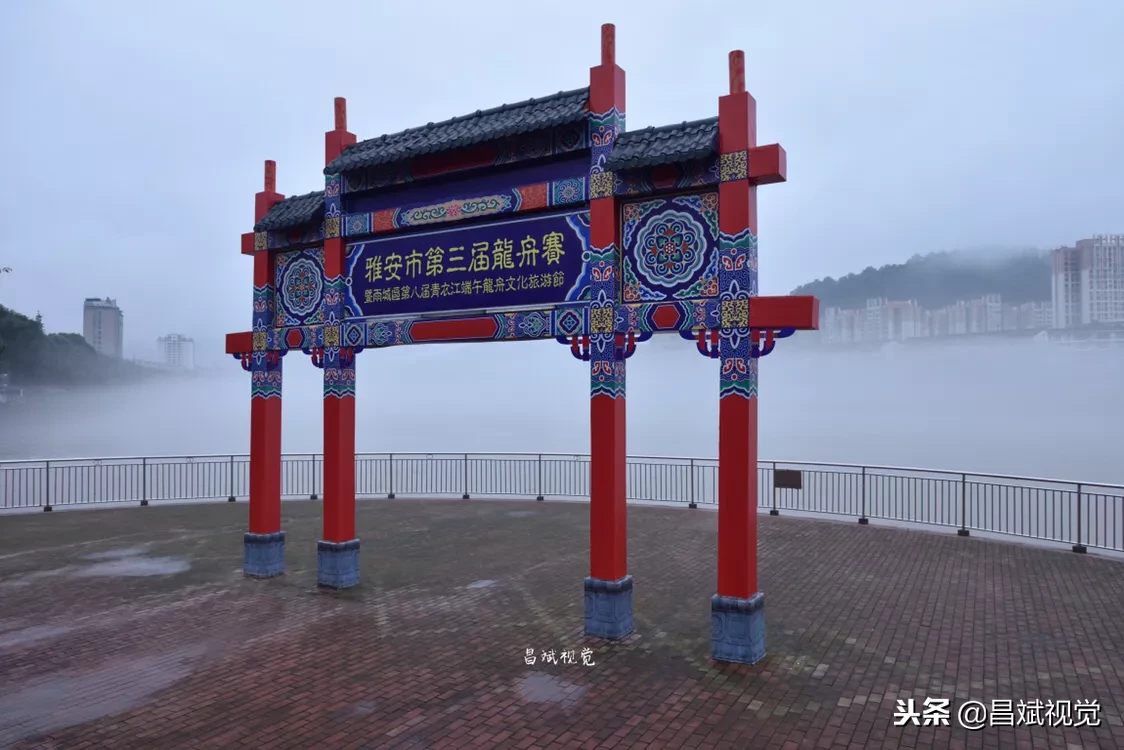 手機和相機拍照，圖質差別有多大？同時拍攝，比較了才知道！