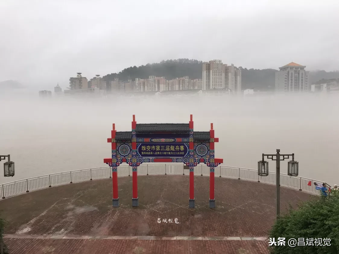 手機和相機拍照，圖質差別有多大？同時拍攝，比較了才知道！
