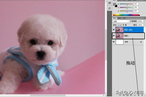 Photoshop入門到精通：圖層的基本操作，復制圖層