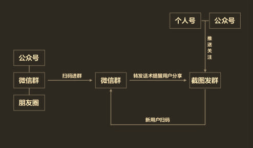 掌握微信群裂變這6個步驟，小白也可以獨立完成裂變活動