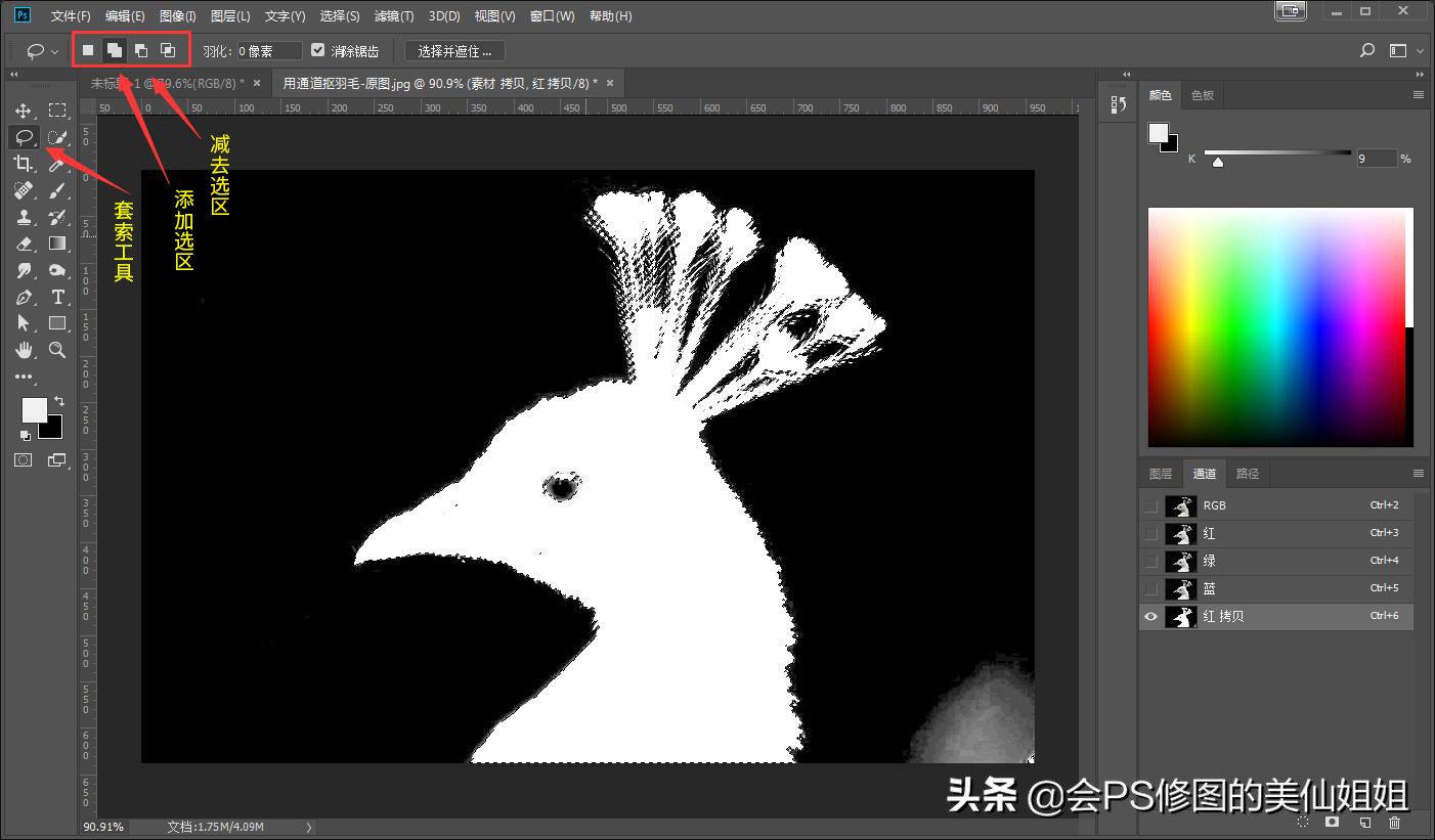 PS摳圖教程:再簡單不過的PS通道摳圖方法-零基礎篇