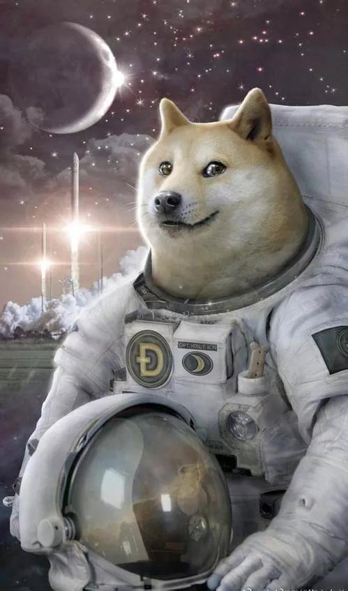 好消息！好消息！狗狗幣再次暴漲