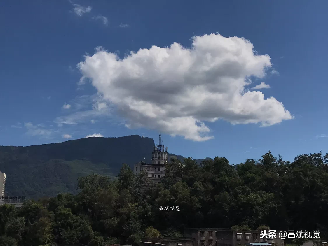 手機和相機拍照，圖質差別有多大？同時拍攝，比較了才知道！