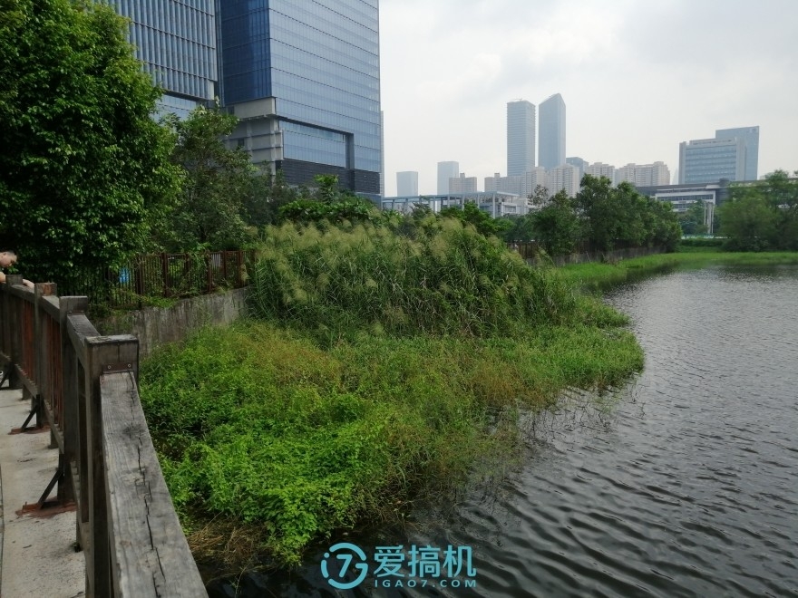 華為性價比機皇，麒麟710+全面屏，榮耀8X詳細體驗評測！