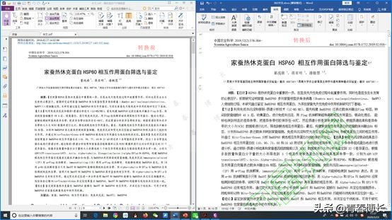 測試了八個PDF軟件，一篇文章告訴你，電腦PDF軟件哪家好用？