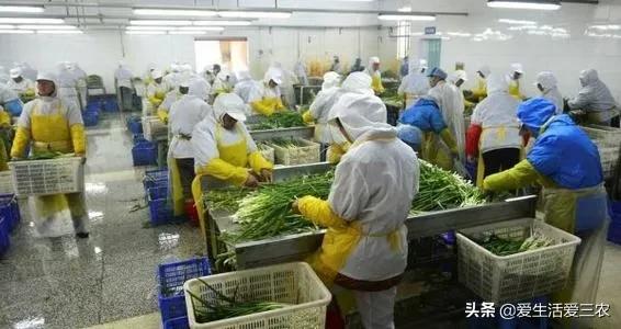 八大農村緊缺行業，能看懂的就能賺錢，快來學