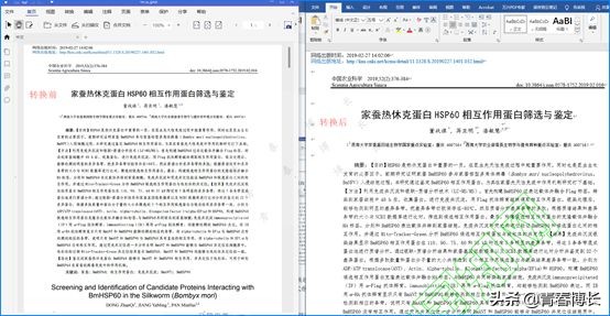 測試了八個PDF軟件，一篇文章告訴你，電腦PDF軟件哪家好用？