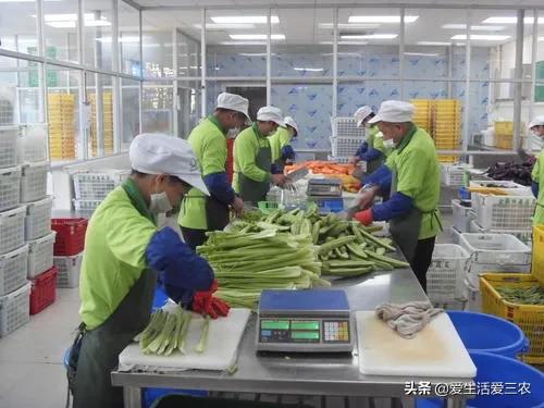 八大農村緊缺行業，能看懂的就能賺錢，快來學