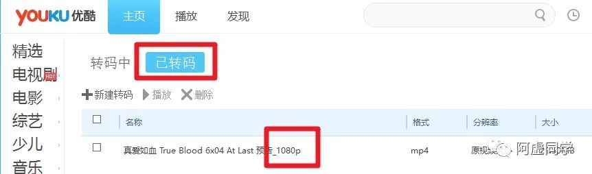 騰訊、優酷、愛奇藝，視頻下載與轉碼